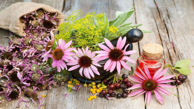 Versatile Organic Spices To Add To Your Spice Rack