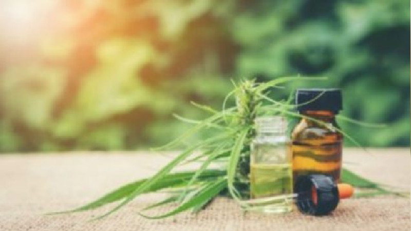 Use Weed Marketing to Stand Out in a Growing Crowd