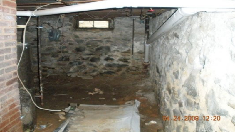 Five Signs it Is Time for Mold Removal Services in Noblesville, IN