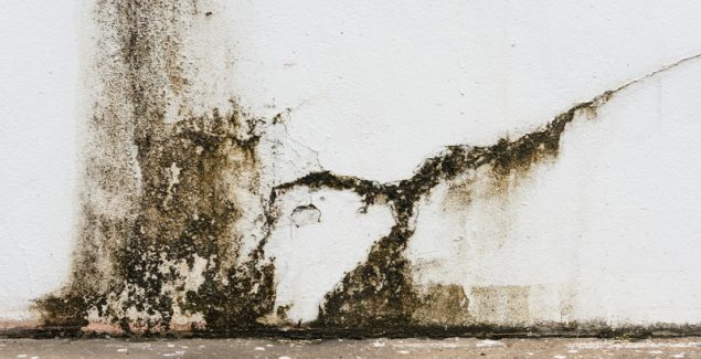 Let the Pros Handle That Waste with Biohazard Cleanup in Omaha, NE