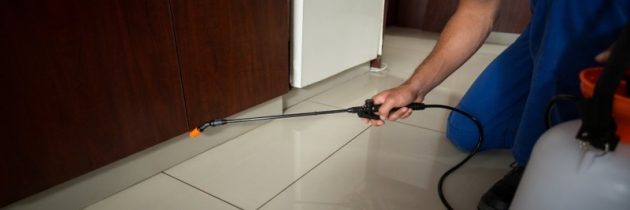 Hire A Cochroach Exterminator Cabot Ar Today