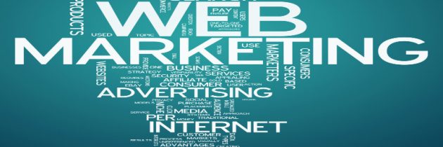The Importance of Digital Marketing and Website Design in Tampa, FL