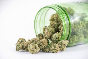 When to Take Advantage of Services for Bud Delivery in Santa Barbara