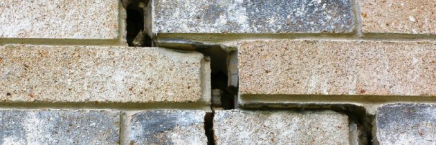 Why You Should Get an Expert Brick Paver Cleaning Service in Fort Myers, FL