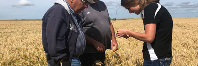 Get Help with Agriculture in Kindersley, SK