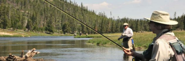 Ways To Have Unforgettable Fishing Trips in Clearwater, FL