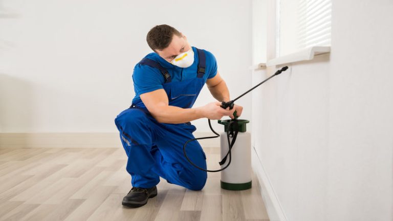 Signs That You Need Pest Control Services in Peachtree City, GA