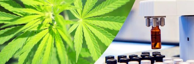 Lab Tested CBD Products for HealthCare Solutions at Cannacea