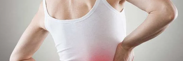 Improve Your Posture by Visiting a Disc Chiropractor in Wheat Ridge, CO