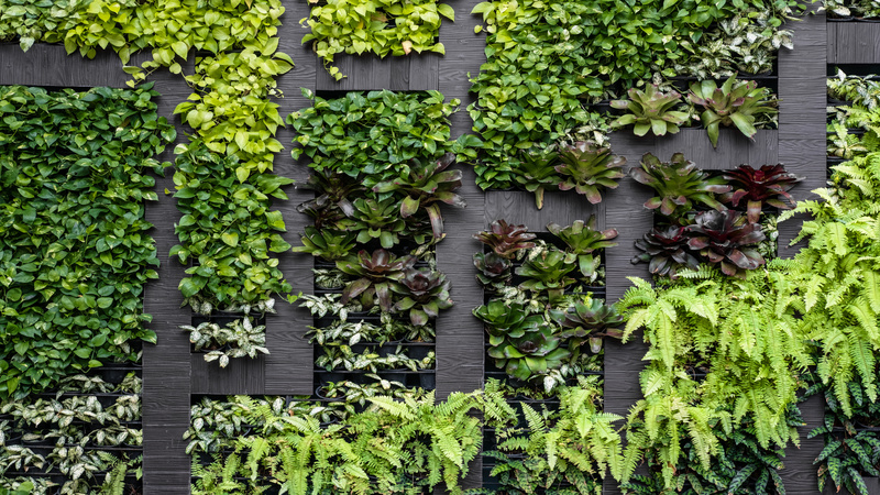 Indoor Plants Miami: Tips to Transform Your Space with Greenery