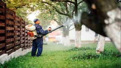 Major Benefits of Professional Lawn Service in Sellersburg, IN