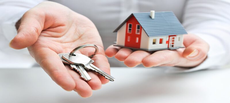 When Is the Best Time to Start Looking for New Condos for Sale in Tampa?