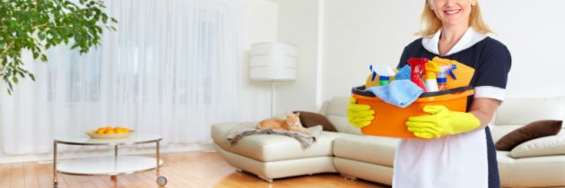 Busy Households Benefit From Maid Services in Shelby Township, MI