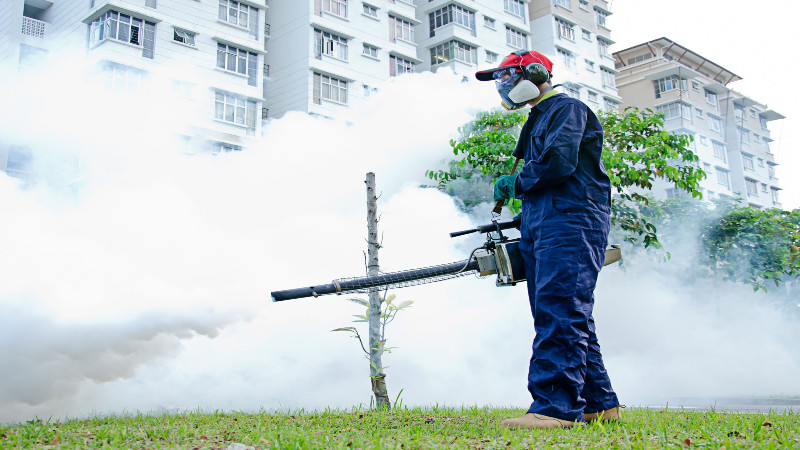 3 Signs You Need Immediate Pest Control Services for Your Naples Home
