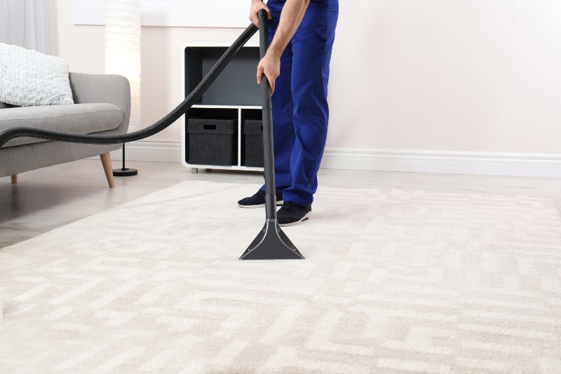 The Ultimate Guide to Commercial Carpet Cleaning Services in Thornton, CO