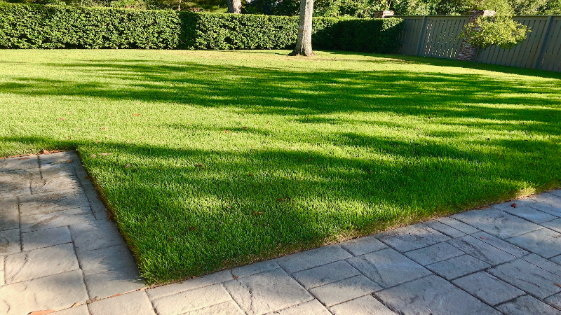 A Local Landscaping Company in Baton Rouge Can Make Your Yard Look Fantastic
