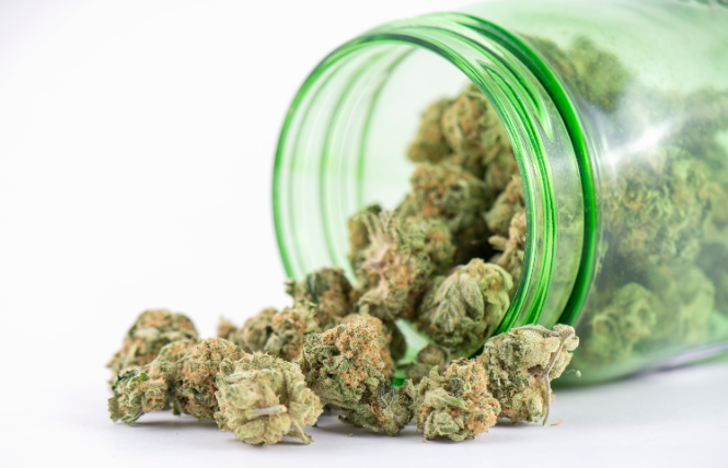 Expert Tips and Advice on Determining the Best Infused Pre-Rolls