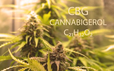 Crucial Things to Know When You Buy THCA Online