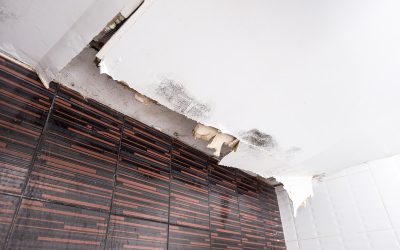 Handling Water Problems: Skilled Water Removal in Council Bluffs, IA