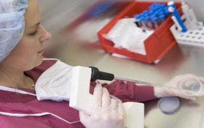 Feel Forever Young: Get back on Track With Hormone Pellets in Tampa, FL