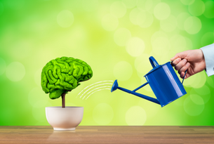 Improving Workplace Harmony with Intercultural Communication Training