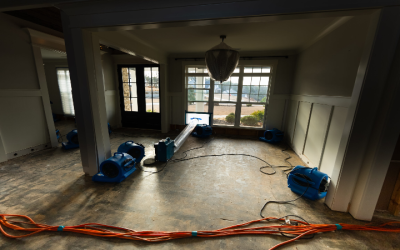 Dealing with a Burst Water Pipe in Newnan, GA: A Comprehensive Guide