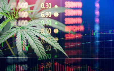 Understanding Options Trading Strategy_ Basics Every Trader Should Know