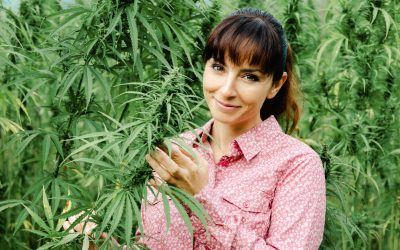 Alternative Medicine in Charlottesville, VA: The Key to Mind, Body, And Emotional Balance
