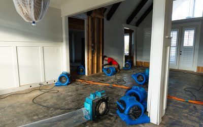 Breaking Down the Cost for Encapsulating Crawl Space in Newnan, GA: A Guide to Protecting Your Home
