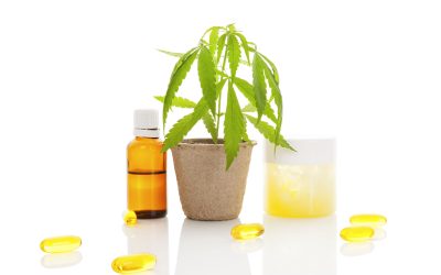 Your Complete Guide to Natural Holistic Wellness Products in San Antonio, TX: Embrace a Healthier and More Vibrant Life