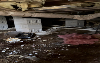 Crawl Space Solutions Arkansas: Best Practices for Homeowners