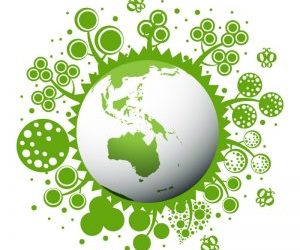 Explore How Supply Chain Traceability Software Enhances Productivity