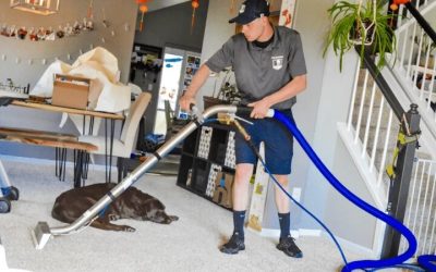 Revive Your Home’s Look with Upholstery Cleaning in Westminster CO