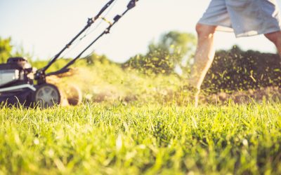 Innovative Solutions Provided by Landscaping Services Shelby Township for Curb Appeal
