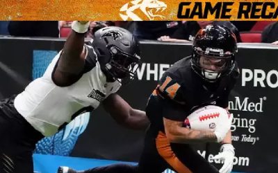 A Look at the Arizona Rattlers’ Championship Legacy