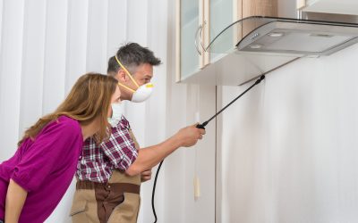 How 24/7 Pest Control Service Massanutten VA Keeps Families Safe from Infestations