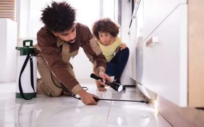 Prevent Property Damage Using Pest Control Services Marion IN Expert Solutions