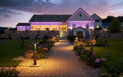 Transform Your Home With Custom Exterior Landscape Lighting in Palm Beach County, FL, Residents Love