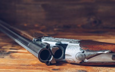 Exploring the Advantages of Buying Firearms Online vs. In-Store in Surprise, AZ