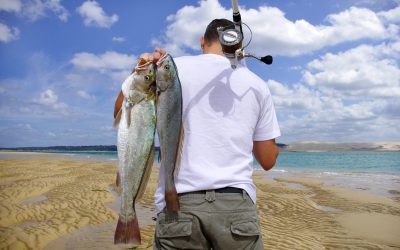 Experience True Wilderness and Expert Instruction Through Guided Fly Fishing Montana Excursions