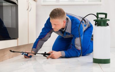 Protect Your Home from Pests with an Exterminator Cedar Grove NJ Residents Trust