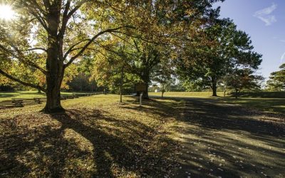 Get Fast Solutions for Underground Water Line Columbus, GA Issues and Prevent Future Repairs