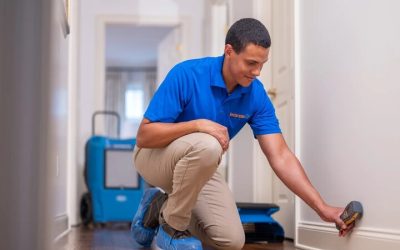 Protect Your Home with Water Damage Restoration in Fort Collins, CO, Solutions That Last