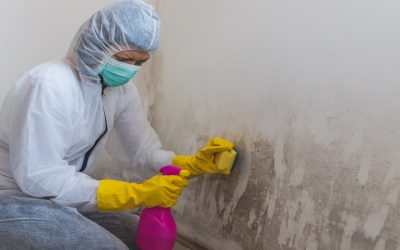Avoid Costly Damage Through Professional Mold Removal In Denver, CO, and Prevention
