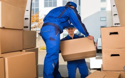 Key Benefits Businesses Gain From Choosing Commercial Moving Florida Solutions