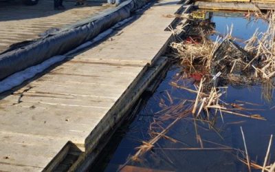 How Durabase Simplifies Your Bathroom Renovation Projects for Lasting Results