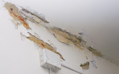 Why Homeowners Call Professionals for Emergency Water Damage Cleanup in Tinley Park IL