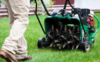 Protect your lawn with expert grub control in Mt. Washington, KY, for a green backyard