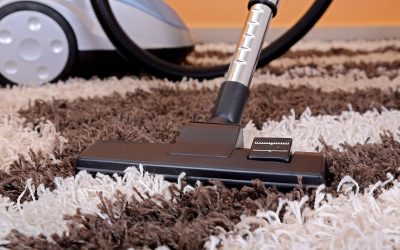 Benefits Homeowners Gain From Professional Residential Carpet Cleaners St Louis, MO