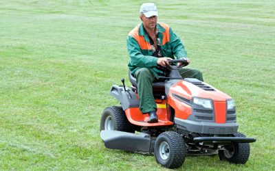 Boost Property Value With Commercial Landscaping Services Solutions